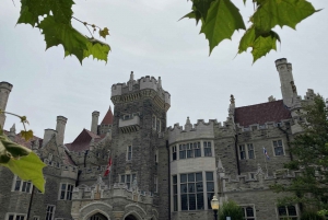 Toronto: Privat byrundtur i liten gruppe med lokal guide
