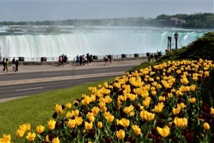 Toronto: Tagestour zu den Niagarafällen für kleine Gruppen