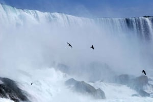 Toronto: Tagestour zu den Niagarafällen für kleine Gruppen