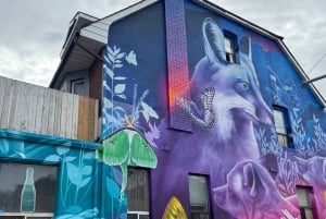 Toronto : visite guidée du street art et des graffitis animée par un artiste de rue