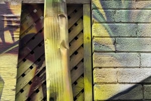 Toronto : visite guidée du street art et des graffitis animée par un artiste de rue