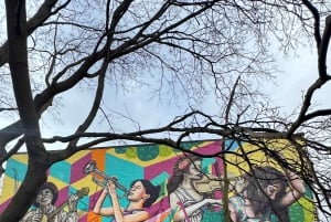 Toronto : visite guidée du street art et des graffitis animée par un artiste de rue