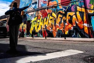 Toronto: tour di street art e graffiti guidato da un artista di strada