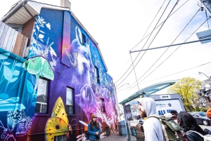 Toronto: tour di street art e graffiti guidato da un artista di strada