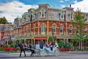 De Toronto a las Cataratas del Niágara 4 o más personas Tour privado VIP