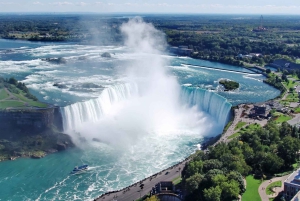 De Toronto a las Cataratas del Niágara 4 o más personas Tour privado VIP