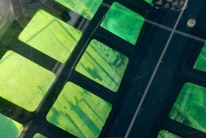 Toronto: Päiväretki Torontosta Tobermoryyn venekruisulla