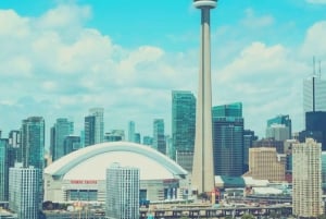 Toronto: Billet til baseballkamp med Toronto Blue Jays