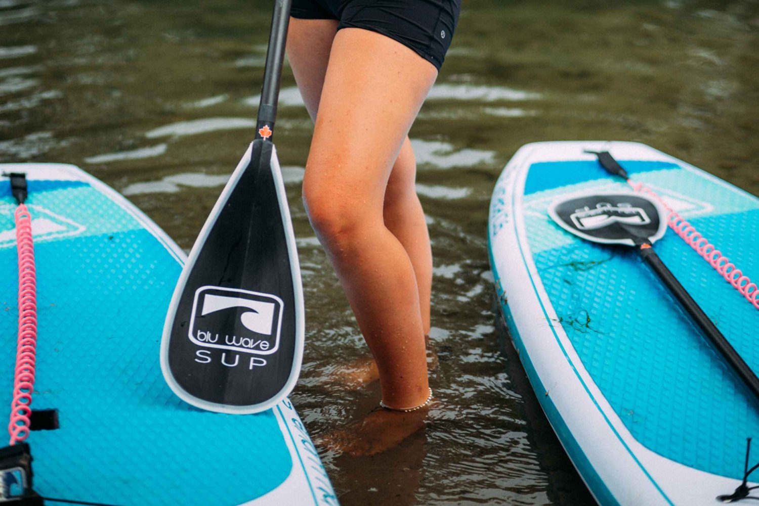 Toronto: Toronto Islands Eco-Tour with Paddle Lesson