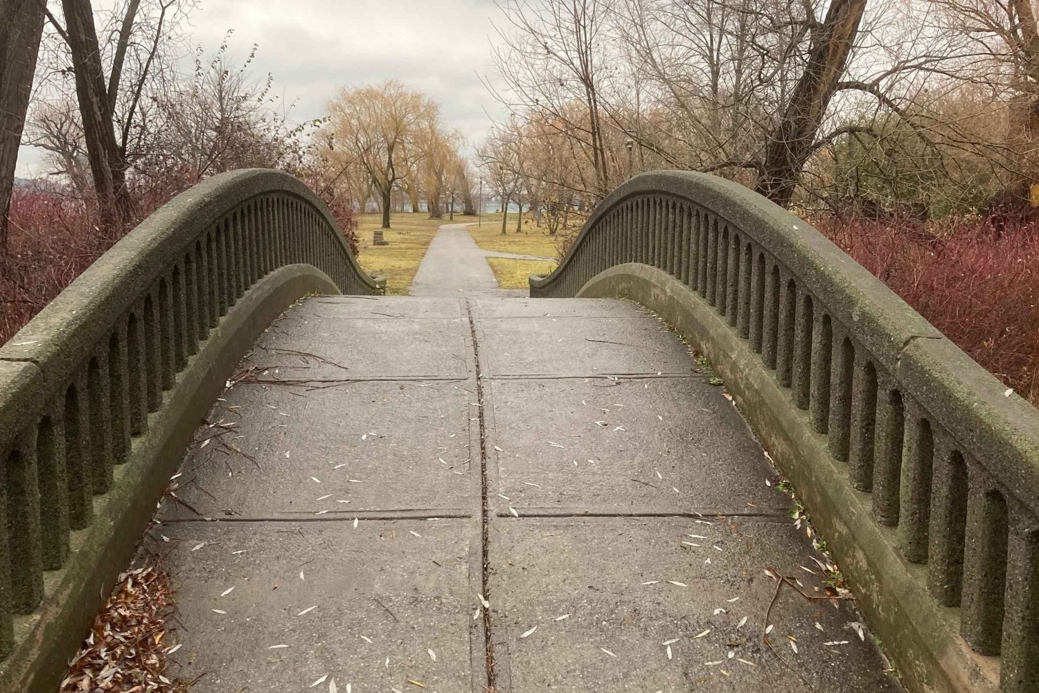 Toronto: Toronto Islands Fall wandeltour
