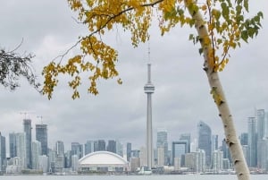 Toronto: Toronto Islands Fall wandeltour