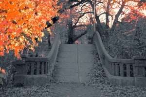 Toronto: Toronto Islands Fall wandeltour