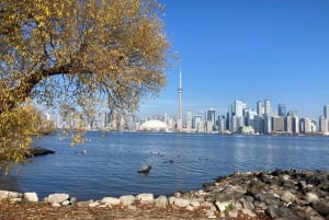 Toronto: Toronto Islands Fall wandeltour