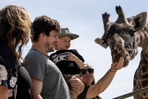 Toronto : billet d'entrée au zoo de Toronto