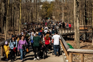 Toronto : billet d'entrée au zoo de Toronto