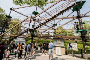 Toronto : billet d'entrée au zoo de Toronto