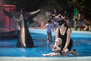 Toronto : billet d'entrée au zoo de Toronto