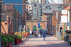 Toronto: TV & Movie Tour with University of Toronto Visit