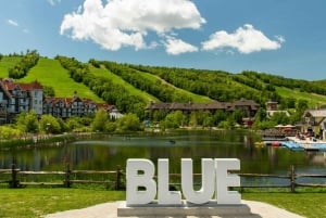 Toronto: yksityinen päiväkierros Blue Mountainin kylään