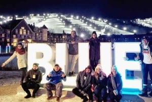 Toronto: yksityinen päiväkierros Blue Mountainin kylään