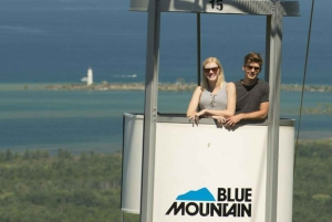 Toronto: yksityinen päiväkierros Blue Mountainin kylään