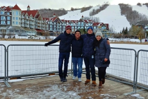 Toronto: yksityinen päiväkierros Blue Mountainin kylään