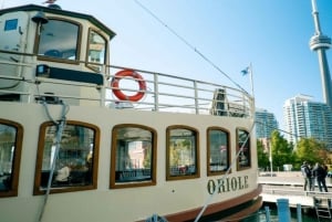 Toronto wandeltour met rondvaart per boot