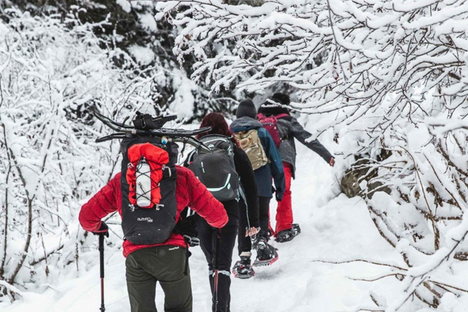 Winter Hike to Rattlesnake Point RV-Motorhome Tour