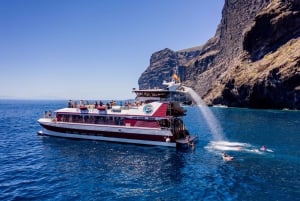 Adeje: Whale and Dolphin Watching Cruise with Lunch and Swim