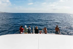 Adeje: Whale and Dolphin Watching Cruise with Lunch and Swim