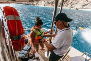 Adeje: Whale and Dolphin Watching Cruise with Lunch and Swim