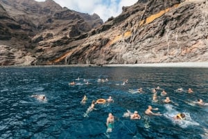 Adeje: Whale and Dolphin Watching Cruise with Lunch and Swim