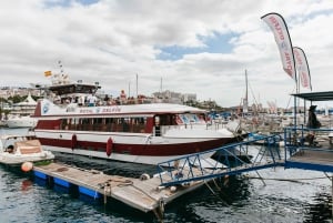 Adeje: Whale and Dolphin Watching Cruise with Lunch and Swim