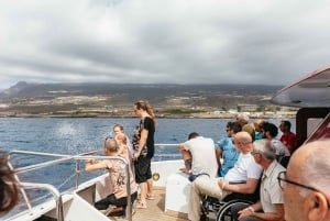Adeje: Whale and Dolphin Watching Cruise with Lunch and Swim
