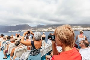 Adeje: Whale and Dolphin Watching Cruise with Lunch and Swim