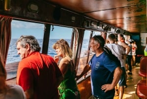 Adeje: Whale and Dolphin Watching Cruise with Lunch and Swim