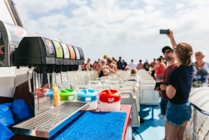 Adeje: Whale and Dolphin Watching Cruise with Lunch and Swim