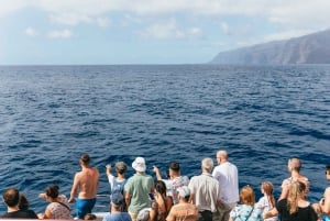 Adeje: Whale and Dolphin Watching Cruise with Lunch and Swim