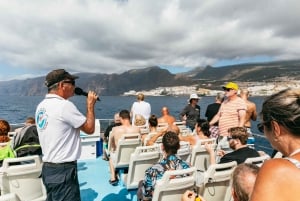 Adeje: Whale and Dolphin Watching Cruise with Lunch and Swim