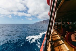 Adeje: Whale and Dolphin Watching Cruise with Lunch and Swim