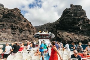 Adeje: Whale and Dolphin Watching Cruise with Lunch and Swim