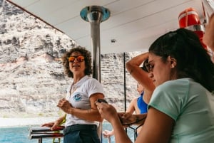 Adeje: Whale and Dolphin Watching Cruise with Lunch and Swim