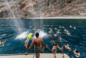 Adeje: Whale and Dolphin Watching Cruise with Lunch and Swim