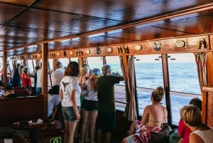 Adeje: Whale and Dolphin Watching Cruise with Lunch and Swim