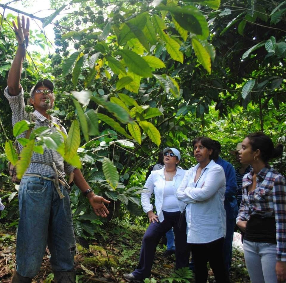 Asa Wright Nature Centre