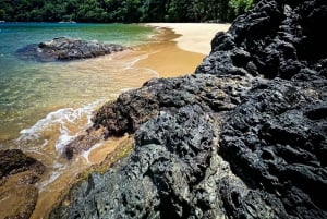 Buccoo Reef and Nylon Pool Adventure