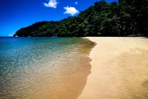 Buccoo Reef and Nylon Pool Adventure