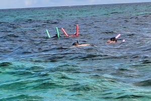 Buccoo Reef and Nylon Pool Adventure