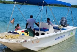 Buccoo Reef and Nylon Pool Adventure