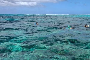 Buccoo Reef and Nylon Pool Adventure